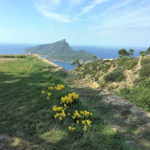 The GR 221, Mallorca