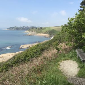 Coast and Crags of South Devon