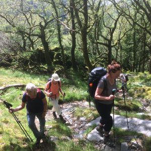 Hidden gems of Snowdonia