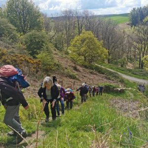 Walking with Offa -South